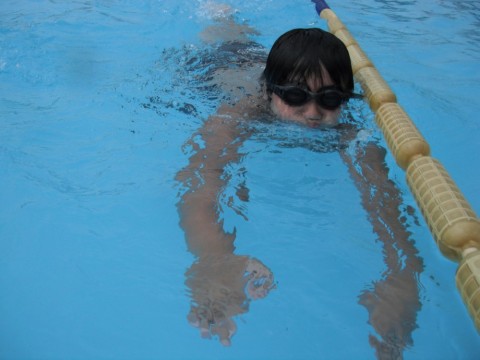 2b4c6vnvm6ujua5ysvn9_480_480-1fb02f64.jpg