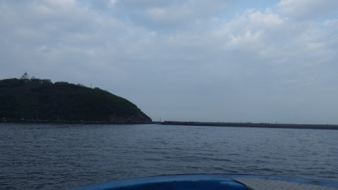 2b4ji8fe7hexkohxogof_480_480-275c447d.jpg