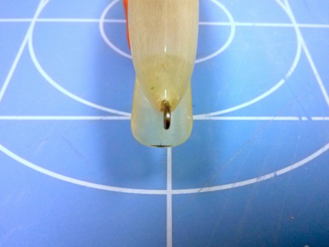 2b4xs9bv8sfudyavtsum_480_480-3deb8033.jpg