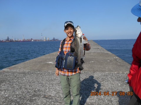 2b9zyd2xiv4wstdrc8kk_480_480-704354af.jpg