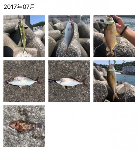 2baudu4tkydk8f78ridp_480_480-c26cac1f.jpg
