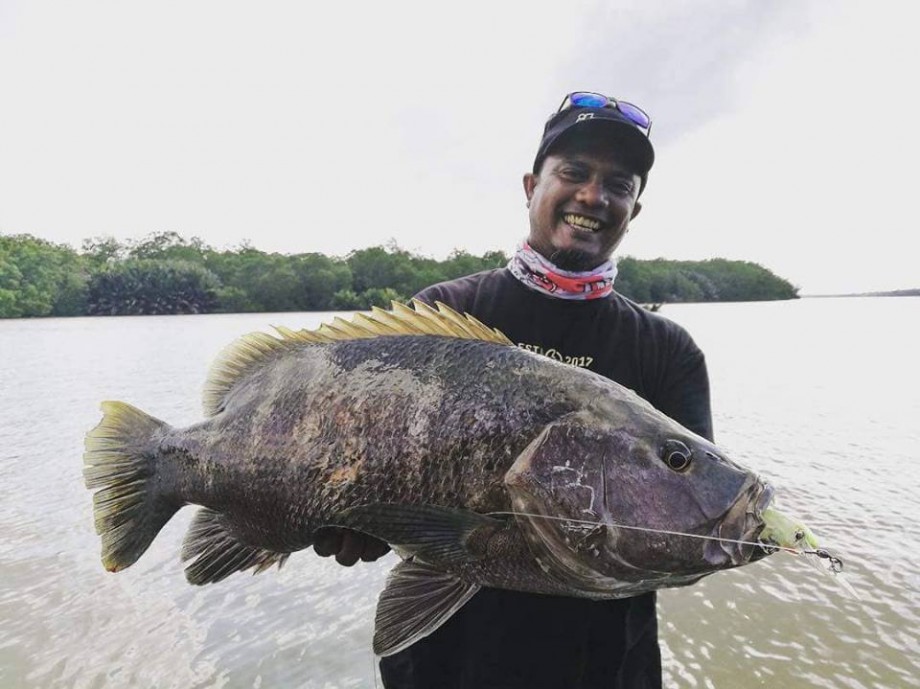Chill Fishing 日本最安レベルパプアンバス Gtツアーやります