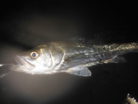2bfgp8cfobtnkamh897u_920_690-f5c7b582.jpg