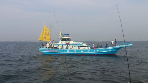 2bhnyie44v967b6u2fv4_480_480-b8ee5806.jpg