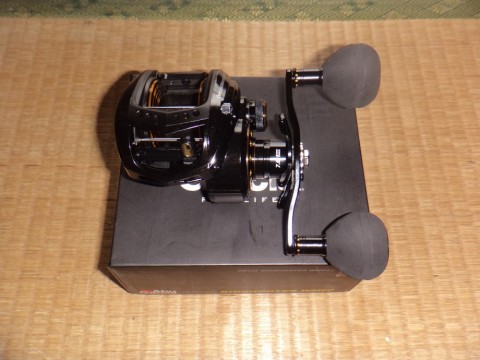 2bpeemb84p9vconps946_480_480-d86185c3.jpg