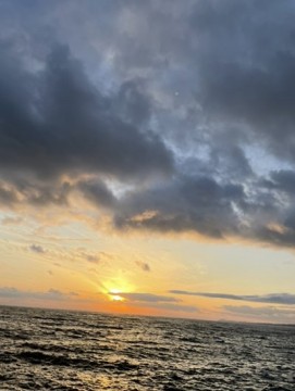 2bwuo3yshwp5he6zor8b_361_480-a64985c4.jpg