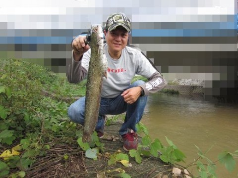2bzak6e3t6vhsdaj4ody_480_480-2f10ff70.jpg