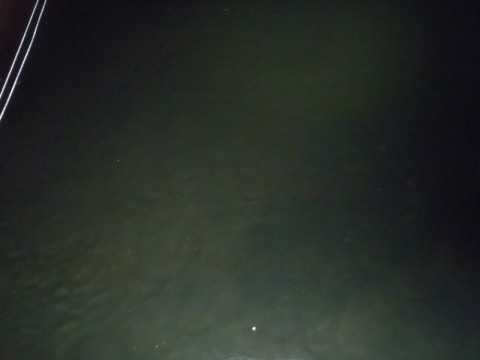 2c8o5x6rjxfhn8kg6m4m_480_480-36b619e4.jpg