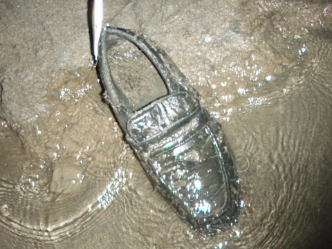 2czbuyk5my242tu4d66o_480_480-747b5a6f.jpg