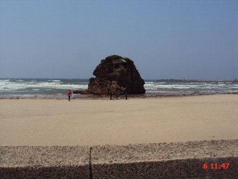 2dh5pnvrsaikft4b967i_480_480-58974383.jpg