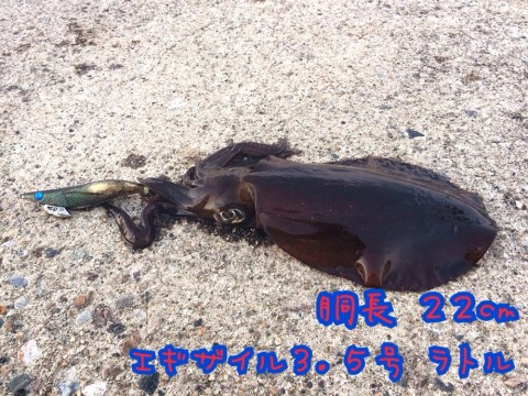 2djyyc2au79nazprj7ne_920_690-30b0a9e5.jpg