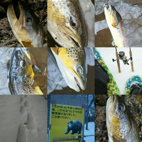 2dv4skefs6kn8snc6ags_920_920-31f11fbb.jpg
