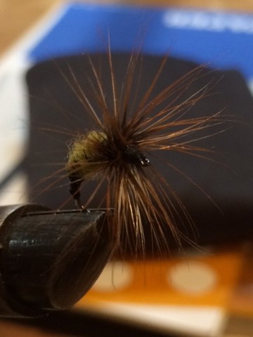 2e6gaiomi337343ohvas_480_480-71f95789.jpg