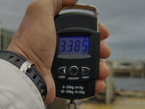 2epw5gs994ew767ewmmi_480_480-523de455.jpg