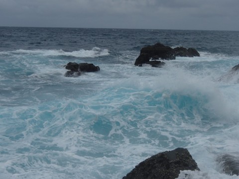 2ewjgyocxpbbjzpxmzk6_480_480-c9017567.jpg
