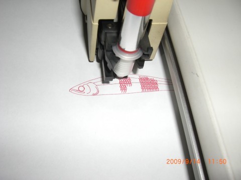 2ey4kbmwwfaenxumrzxz_480_480-c50e5029.jpg