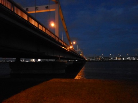 2f298gb7evjodvc8zt28_480_480-323ee984.jpg
