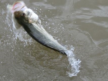 2fbudfh9izh6oetujn5o-f7df585f.jpg