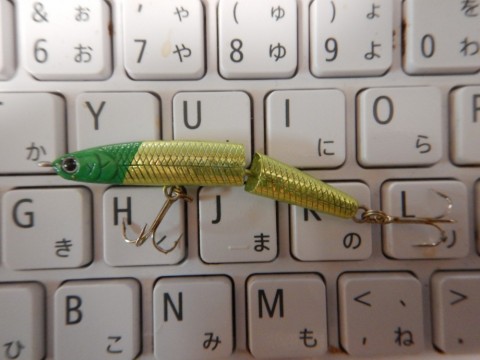 2fvokxk75tm6ho7nynn2_480_480-5fc1643c.jpg