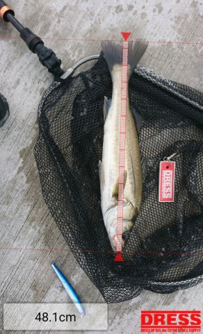 2fzy848btfvnxofz6io5_480_480-3c713999.jpg