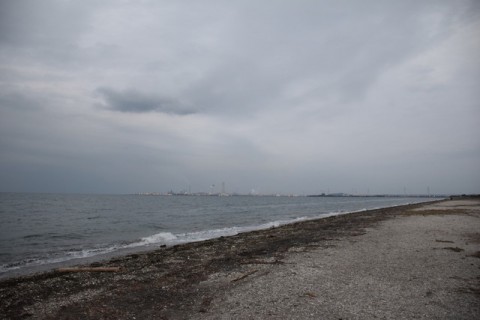 2g9stor35pzkaixxmsbx_480_480-43f605ae.jpg
