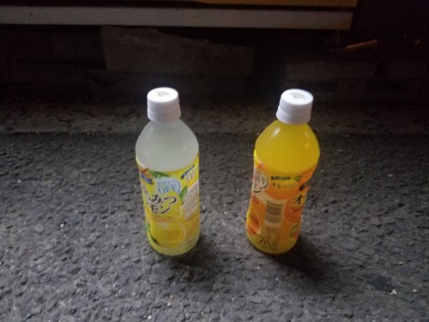 2gdgo64g9hjmijohoc77_480_480-0d11fd90.jpg