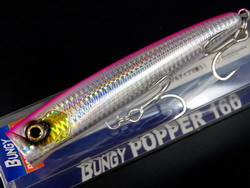2ggaukymbd24fj8bxmx8-c9016e81.jpg
