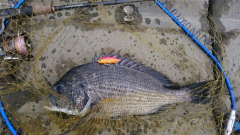 2gs7coe3fwzuaospfuga_920_518-73882b05.jpg