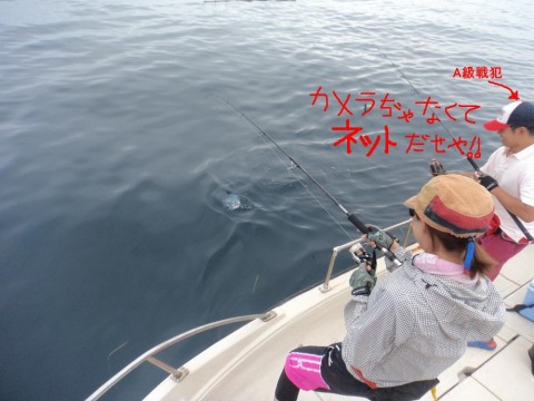2gsvu3huss3iougu6pnv_480_480-2b62f353.jpg