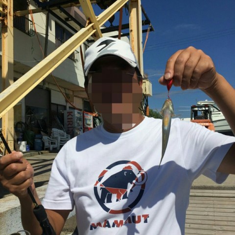 2h8i4rdf9m7j3xzdv23x_920_920-9303ae51.jpg