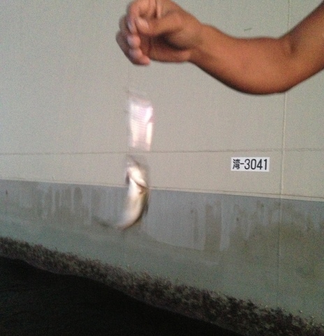 2hes5nbhs6zza3a9cdg4-5f5cd36e.jpg