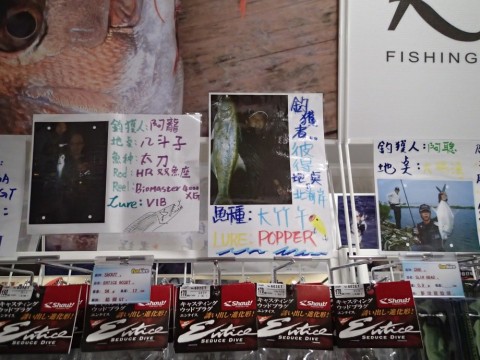 2hk55uyijzjkvi4cv9hr_480_480-3a31ad81.jpg