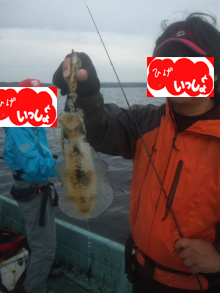 2hkf7r8xos2poyxvfuwr-e3a4f56b.jpg