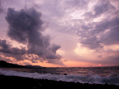 2hubg2oprcwvafi457d5_480_480-89da2ff7.jpg