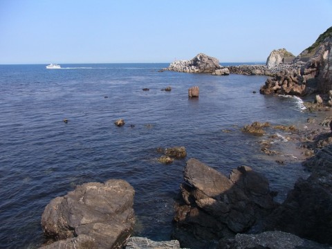 2hudv5y7iwausr9dfidv_480_480-20b84e22.jpg
