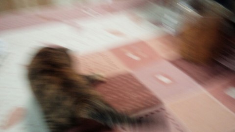 2ioprkjgwytys897gb7f_920_518-12de2645.jpg