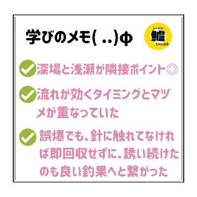 2ixgmfesw6n7wwd8pn2n-d4f8061c.jpg