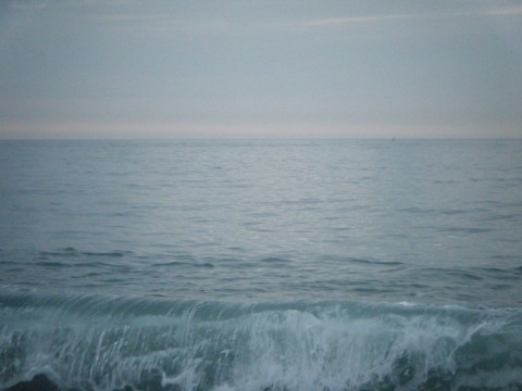 2j7bh67fhf26tyjt8gnw_480_480-2dbfd296.jpg