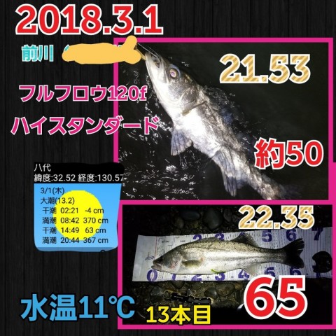 2jbu7ewyjdj3btren63x_480_480-a05dc043.jpg
