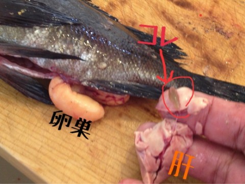 2jkp4eeij2upugjoat4d_920_690-83a2820b.jpg