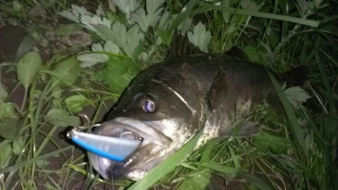 2jkvn74y54kh45hx9bzb_920_518-56eedaaf.jpg