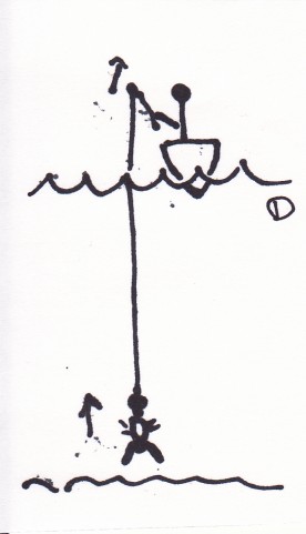 2jogcxeo3prwk2av5cm4_480_480-baa38cfc.jpg