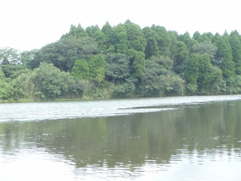 2jx7xzocgs2c27kr6eos_480_480-79bf70ed.jpg