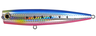 2k4apnisnskhptagnocc-b4725a67.png