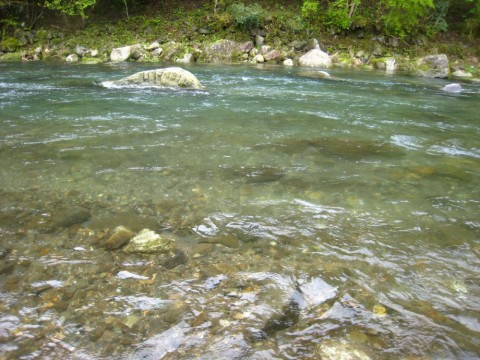 2k4p4697sskwyi23n47p_480_480-73e620aa.jpg