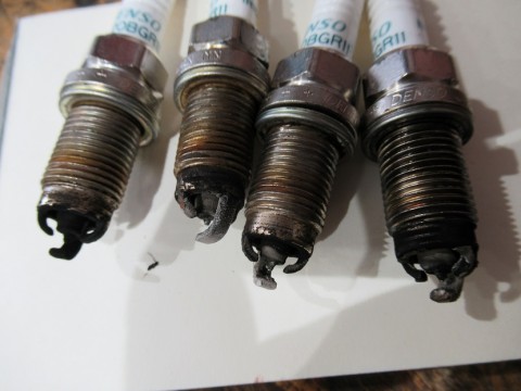 2k6pxdwku4uduk2tvui7_480_480-5a576a32.jpg