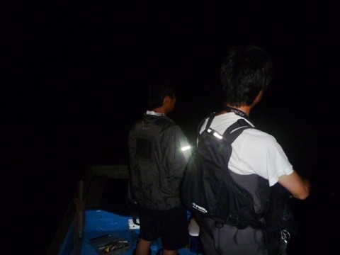 2kap2wfajecvi3b23csw_480_480-e89e5199.jpg