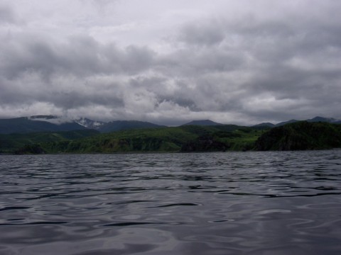 2kswdzo4p3gj76p8cwcu_480_480-ee0467d1.jpg