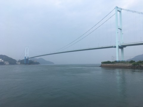 2kvwx8z9gunhg7jkkv48_480_480-e9c5307f.jpg