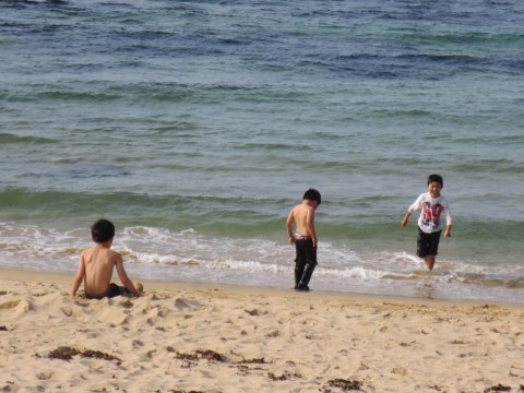 2kw4ai934shki5whbkk4_480_480-2423355e.jpg